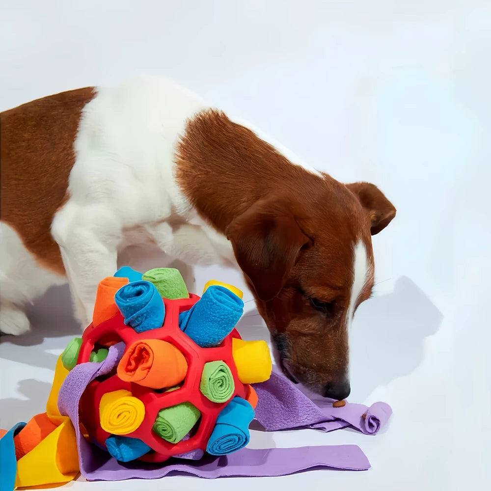 Interactive Snuffle Ball for Pets - Treat Dispensing Toy for Nose Work Training and Stress Relief, Machine Washable