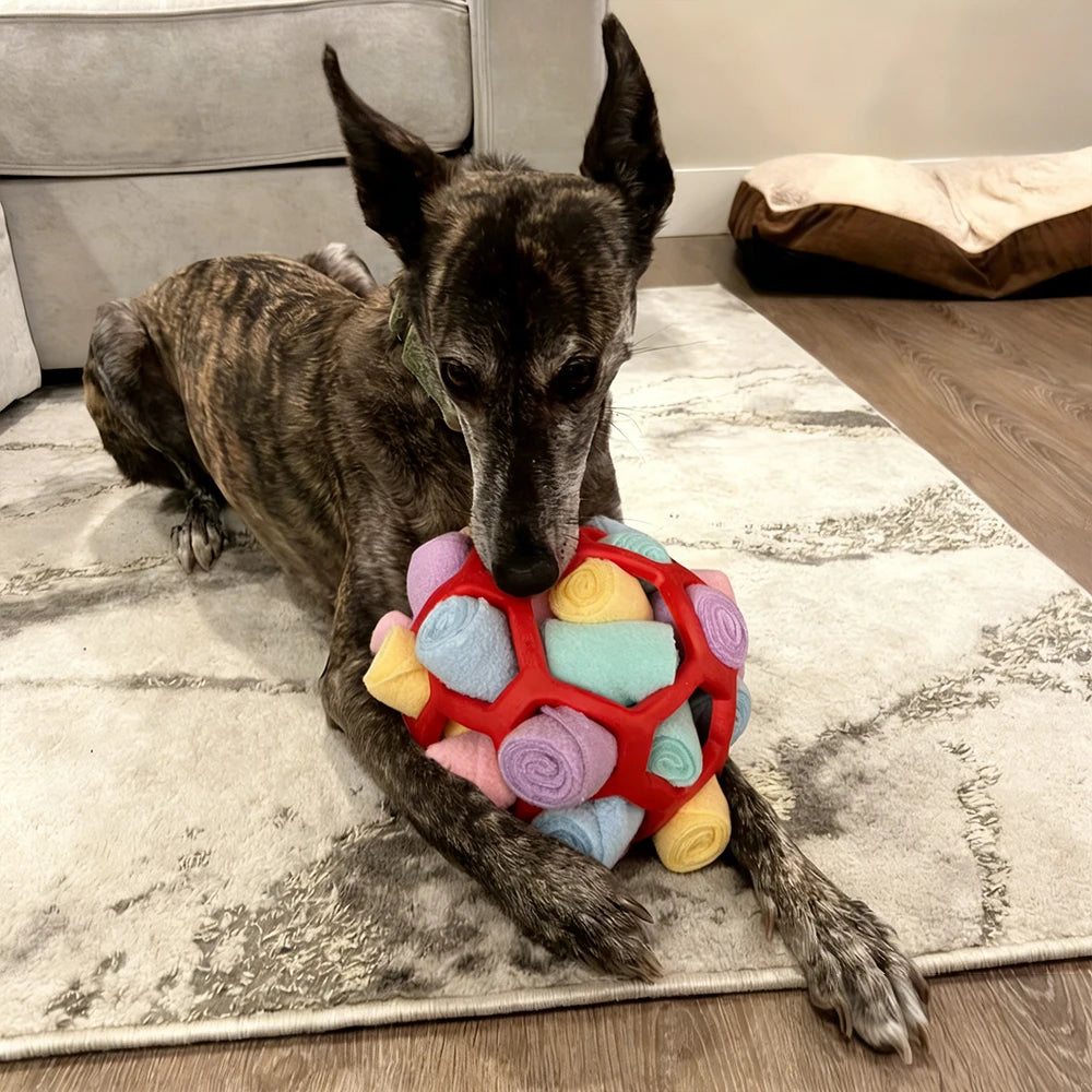 Interactive Snuffle Ball for Pets - Treat Dispensing Toy for Nose Work Training and Stress Relief, Machine Washable