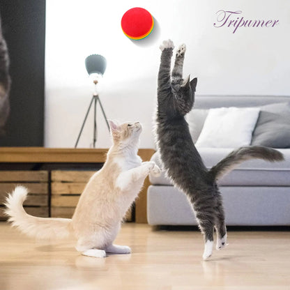 21-Piece Interactive Cat Toy Set Featuring Black Tunnel, Plush Mouse Chaser, Rattling Paper Balls, and Spring Hose for Cats and Kittens